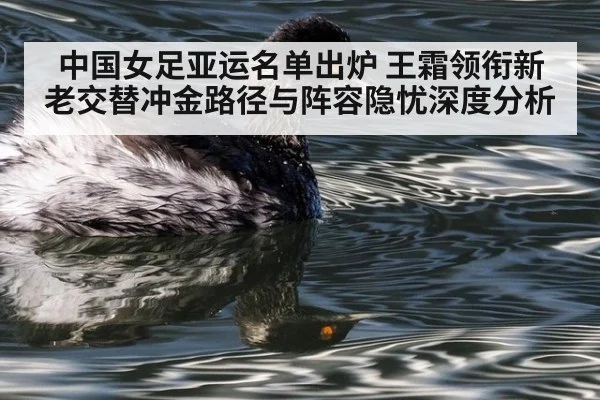 中国女足亚运名单出炉 王霜领衔新老交替冲金路径与阵容隐忧深度分析